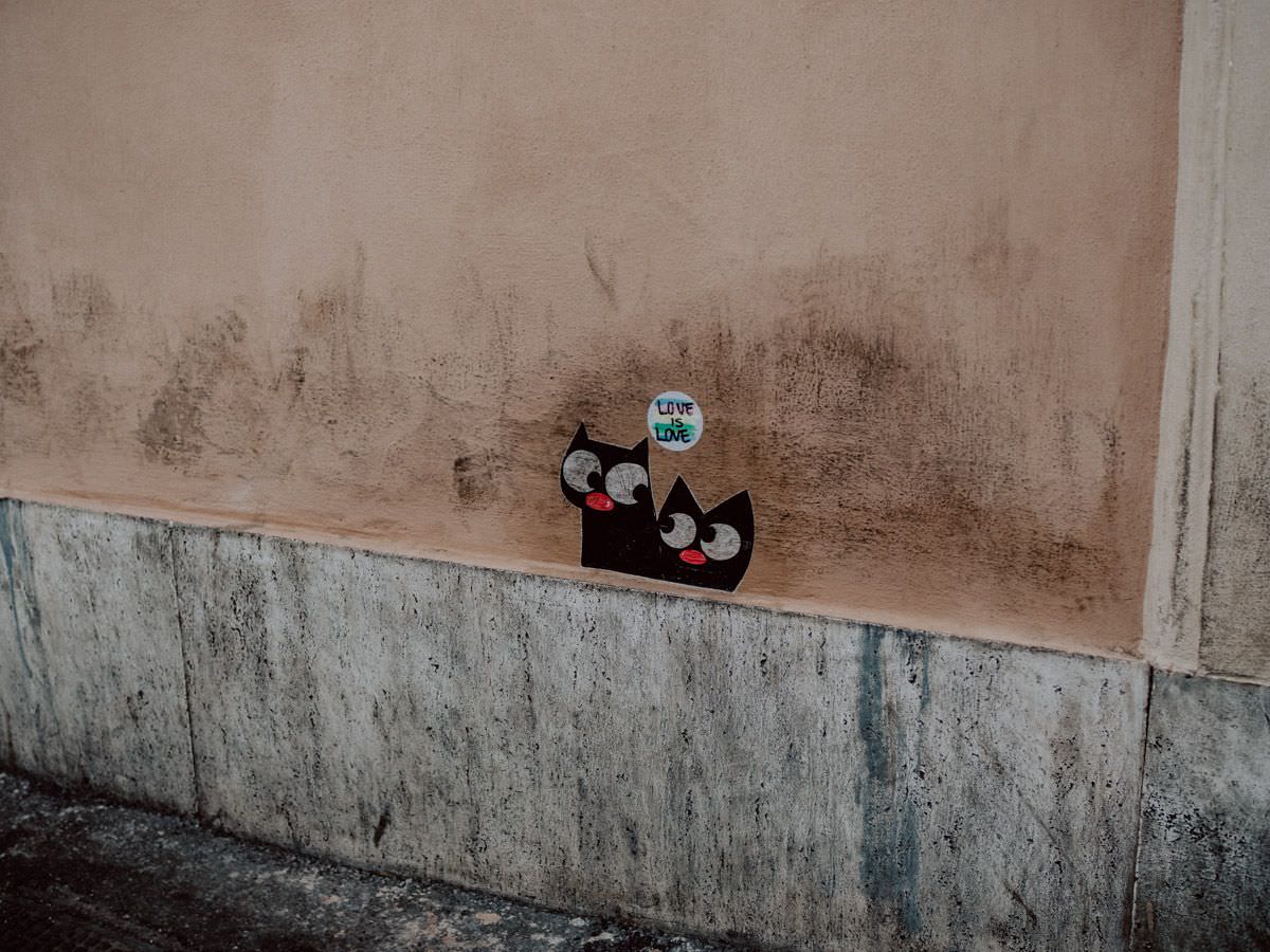 cats on the wall and sticker with the inscription love is love