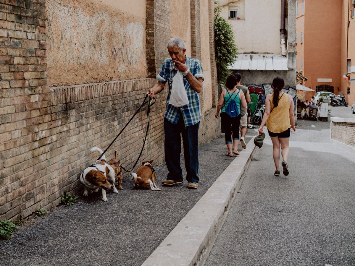 man with the dogs