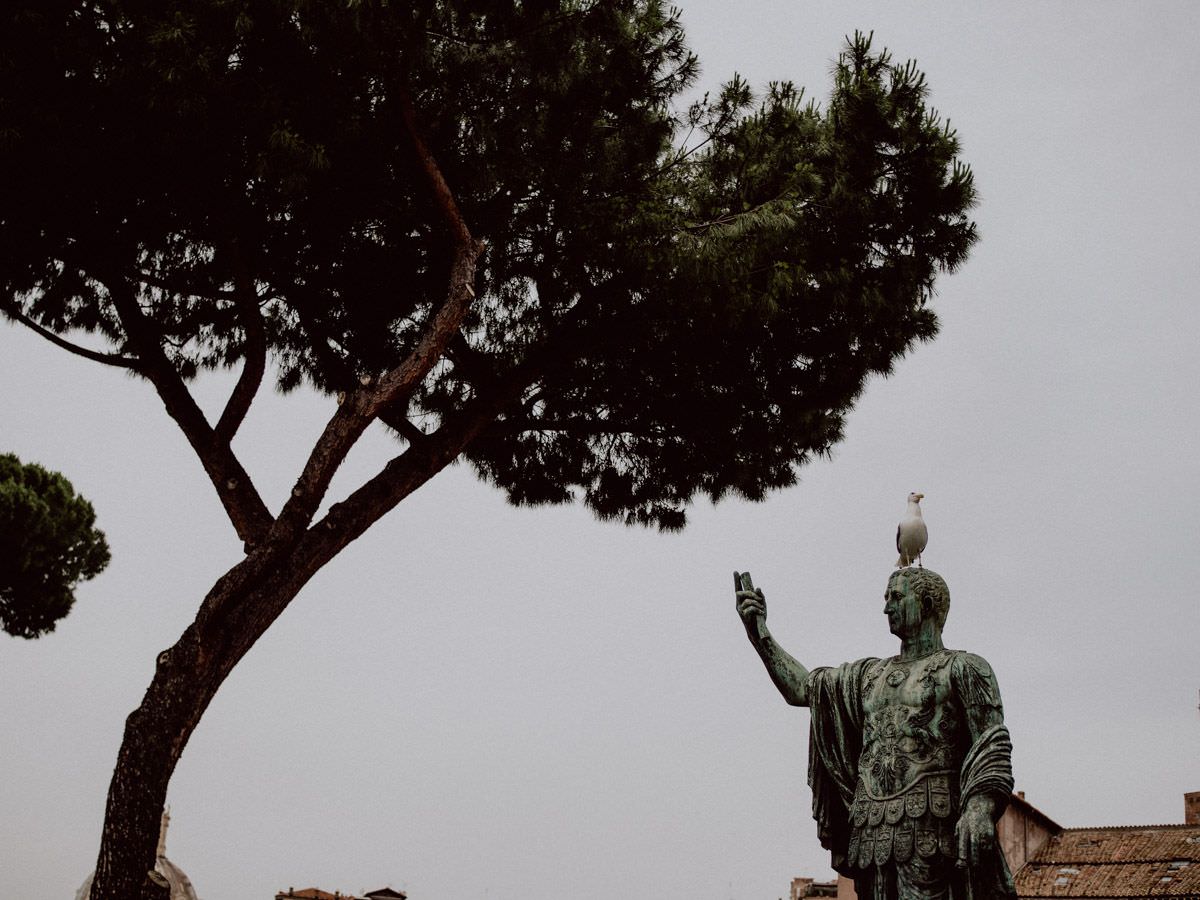 statue with pigeon on head